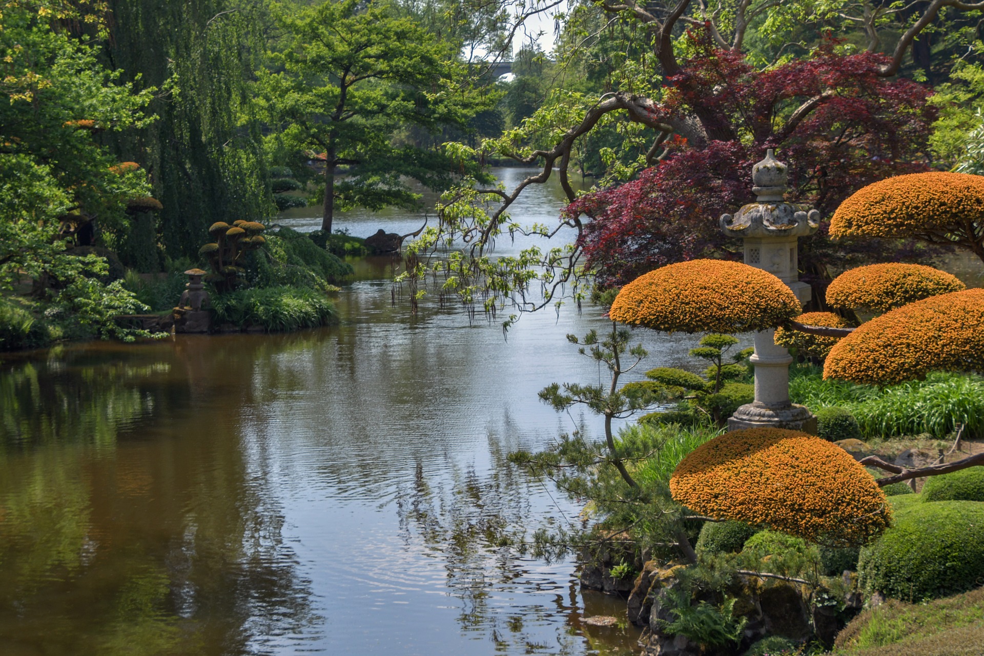 Comment arroser  son bonsa   Vital Bonsai 