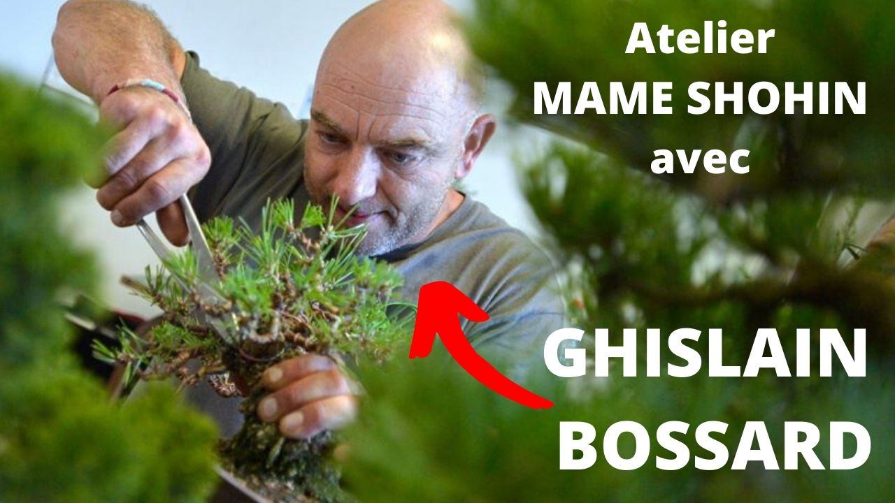 atelier shohin ghislain bossard