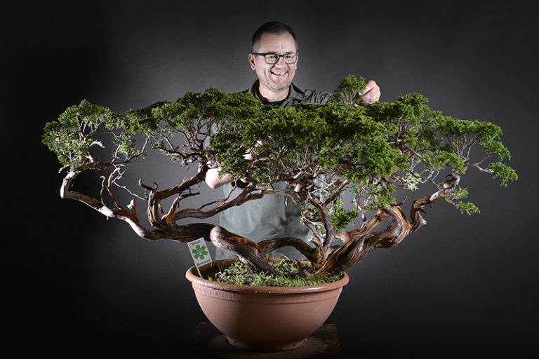 Yamadori De Gen Vrier Vital Bonsai