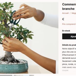 formation bonsai en ligne