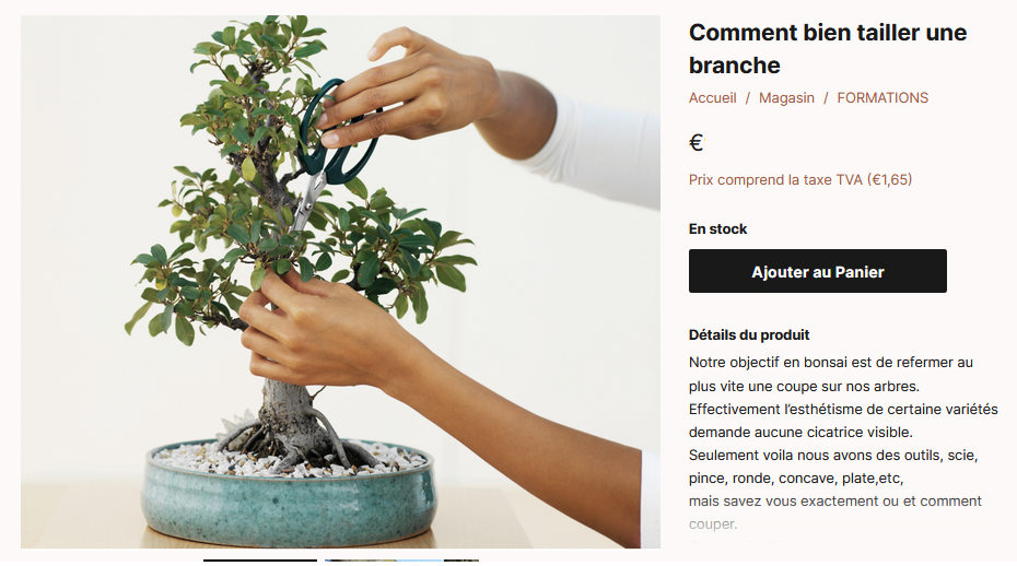 FORMATIONS BONSAÏ en LIGNE Vital Bonsai