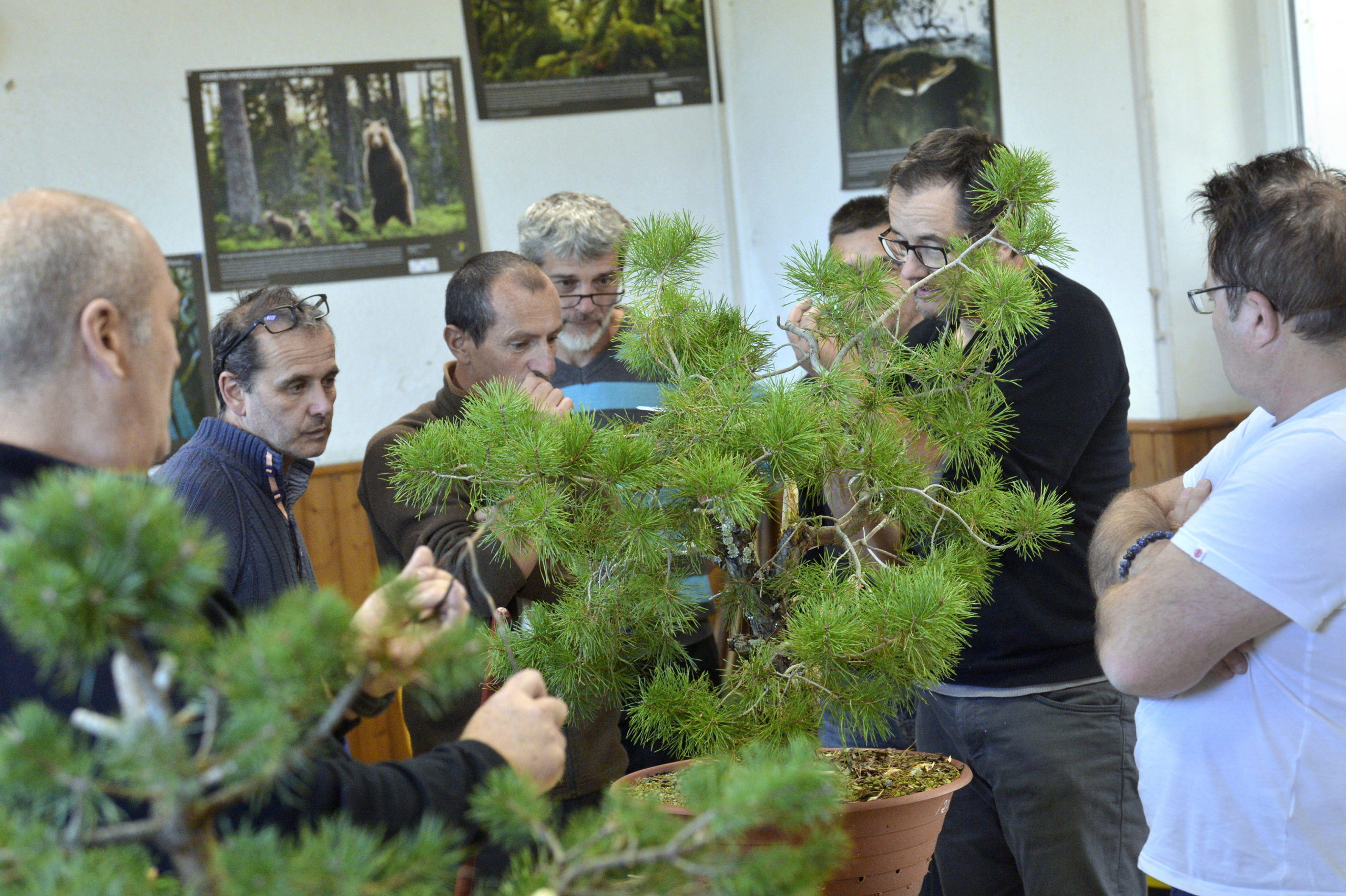 atelier bonsai