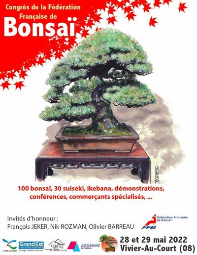 vital-bonsai-congres-national-FFB