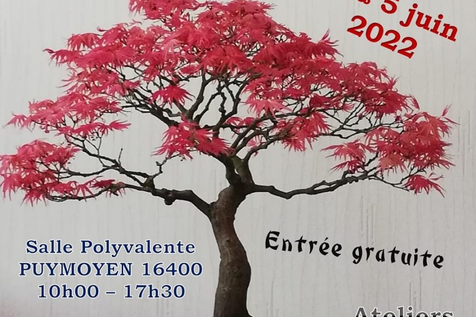 exposition bonsai puymoyen