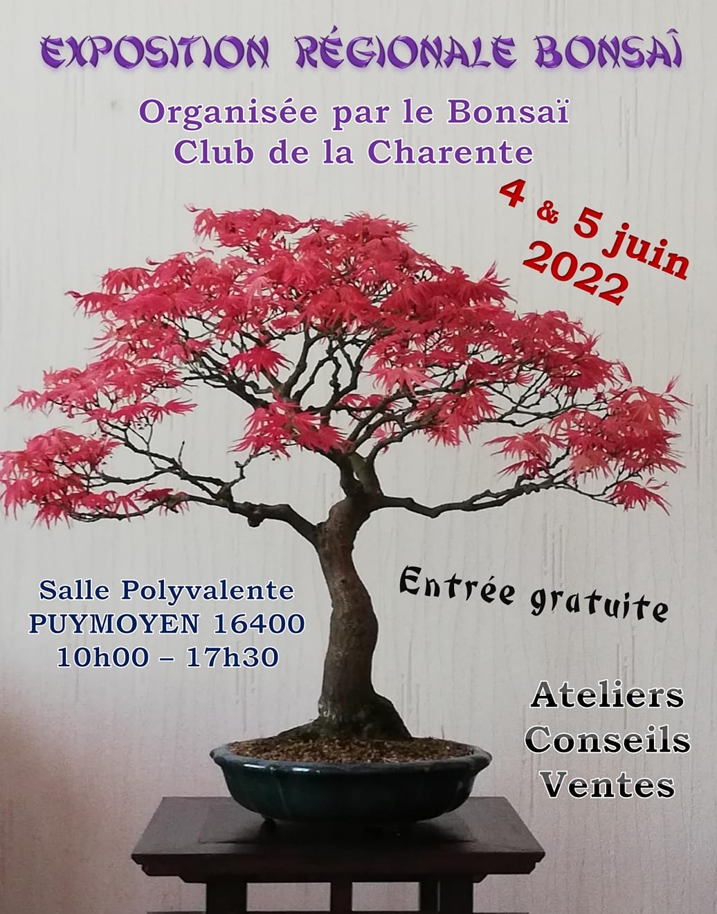 exposition bonsai puymoyen