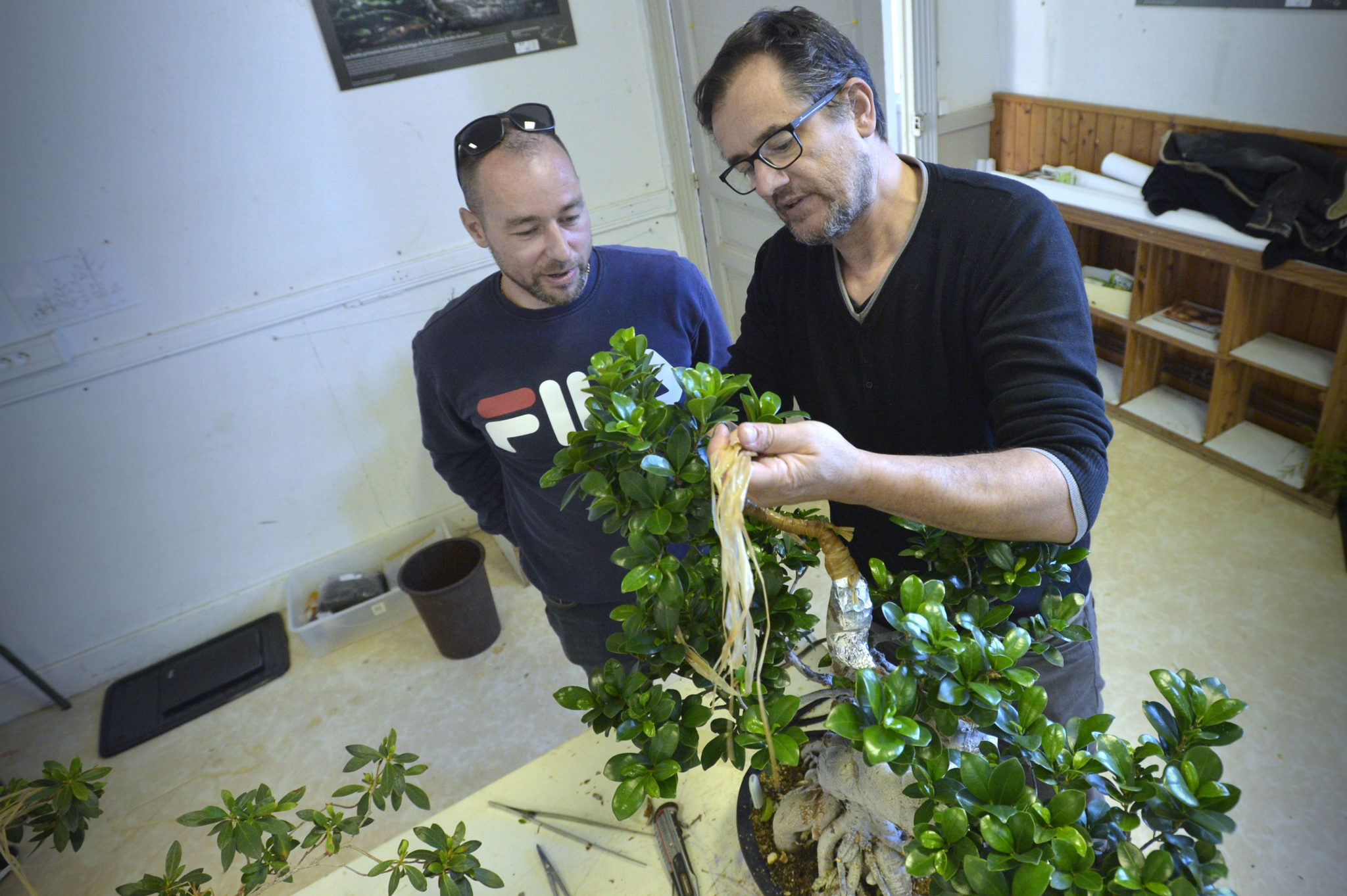 Les Ateliers Vital Bonsaï pour le prochain trimestre Vital Bonsai