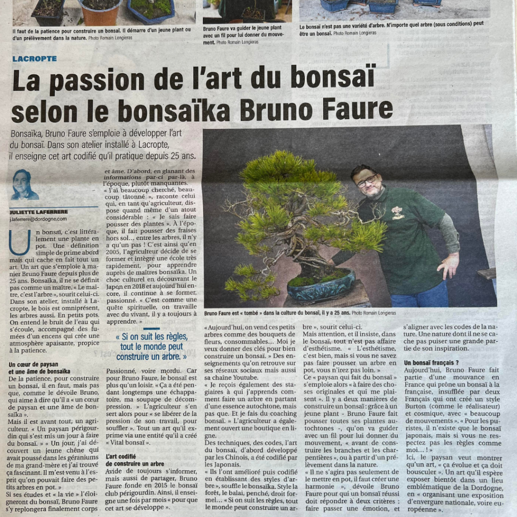 article de presse de la Dordogne Libre sur Vital Bonsai