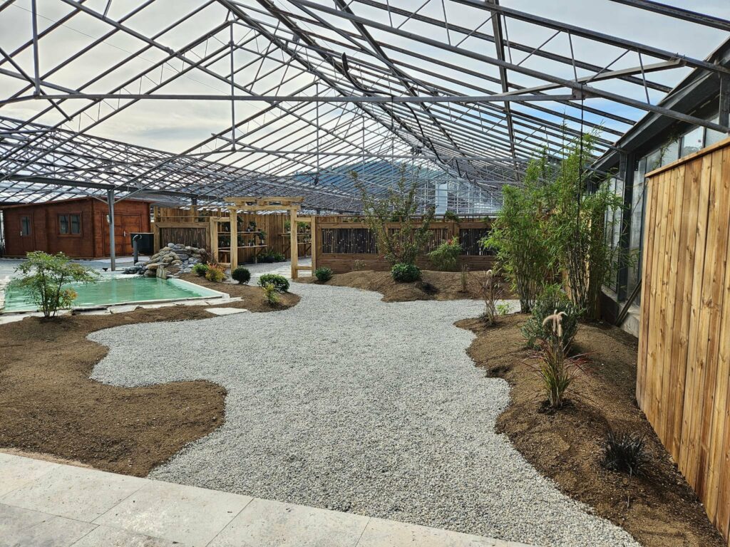 boutique Wabi Sabi - vital bonsai