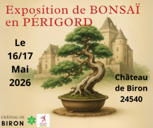 exposition bonsaï Château de Biron 24540