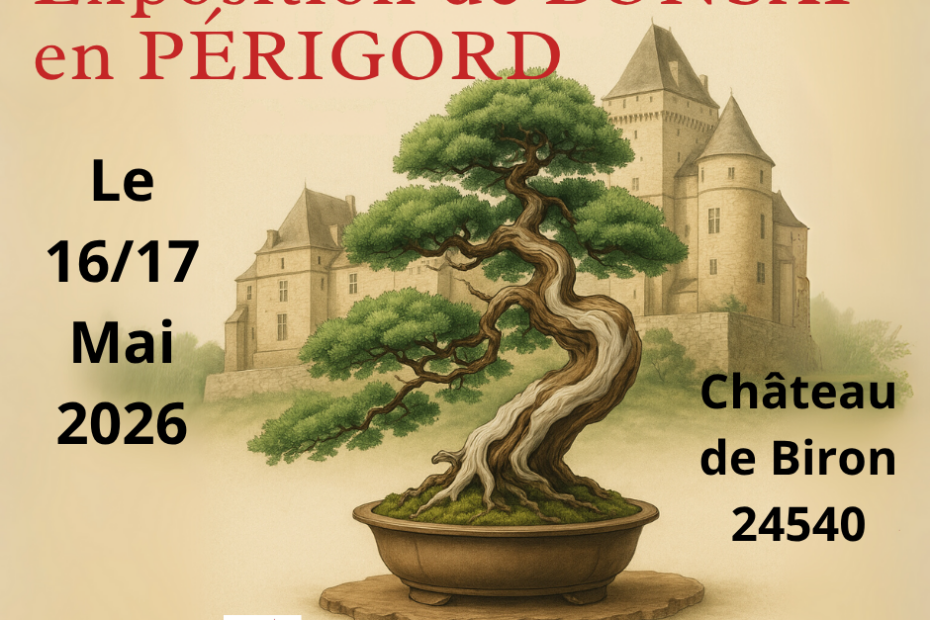 exposition bonsaï Château de Biron 24540